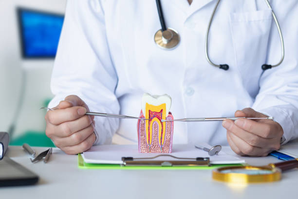 Best Pediatric Emergency Dentist in Muscle Shos, AL